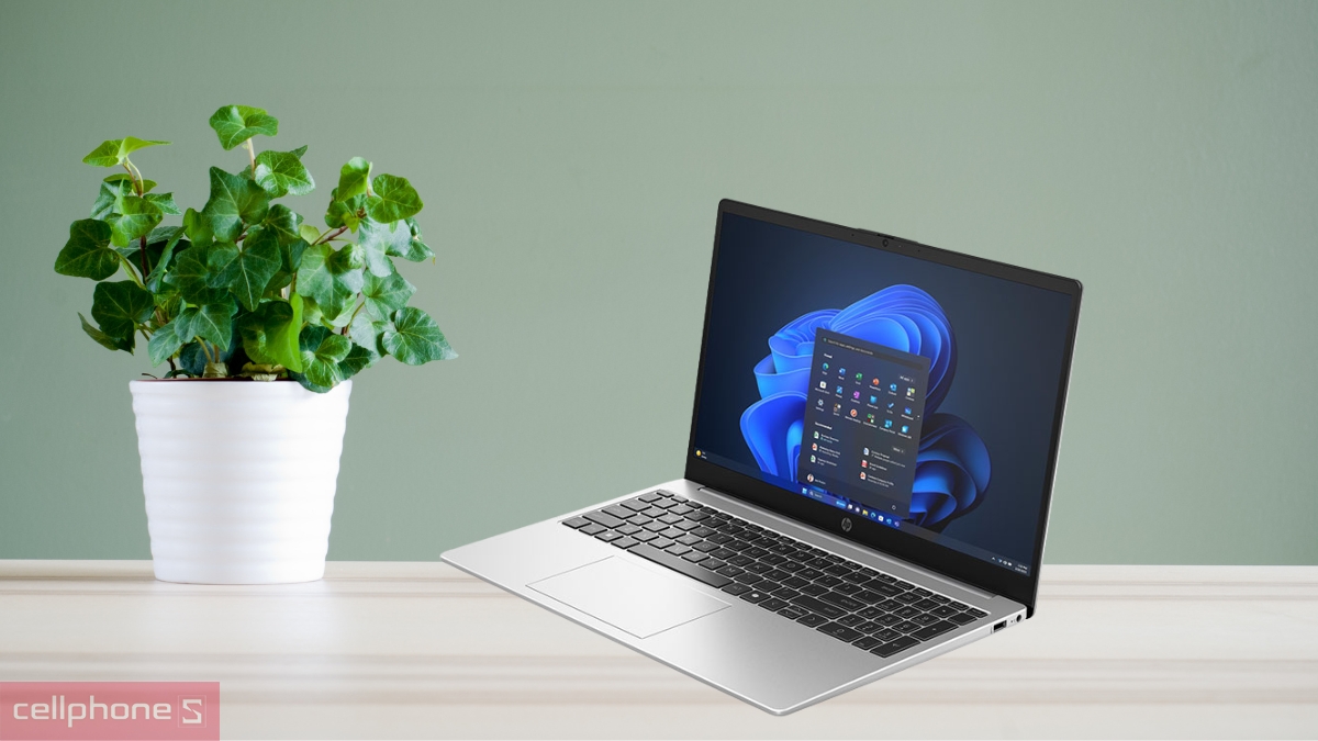 Bộ nhớ RAM Laptop HP 250R G10 CC9C0PT