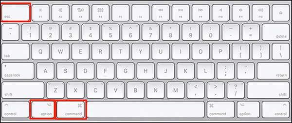 Dừng ứng dụng bị virus bằng tổ hợp phím tắt “Command + Option + Esc”