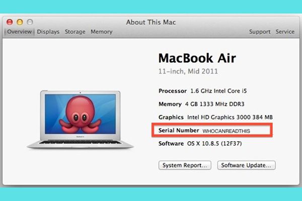 Check Serial MacBook Air trước khi mua hàng