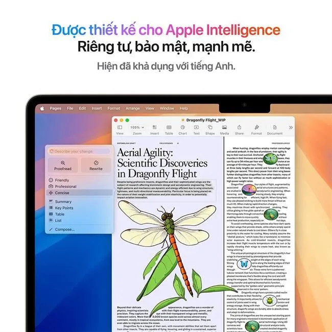MacBook Air 13 inch M4 24GB/512GB/10GPU/Sạc 35W màu Vàng – ảnh 17