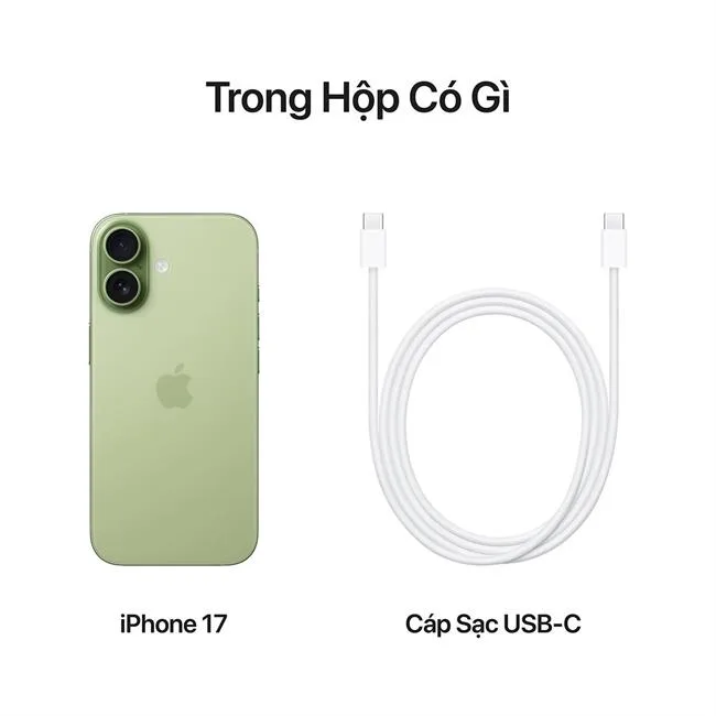 iPhone 17 256GB màu Xanh Lá Xô Thơm – ảnh 8